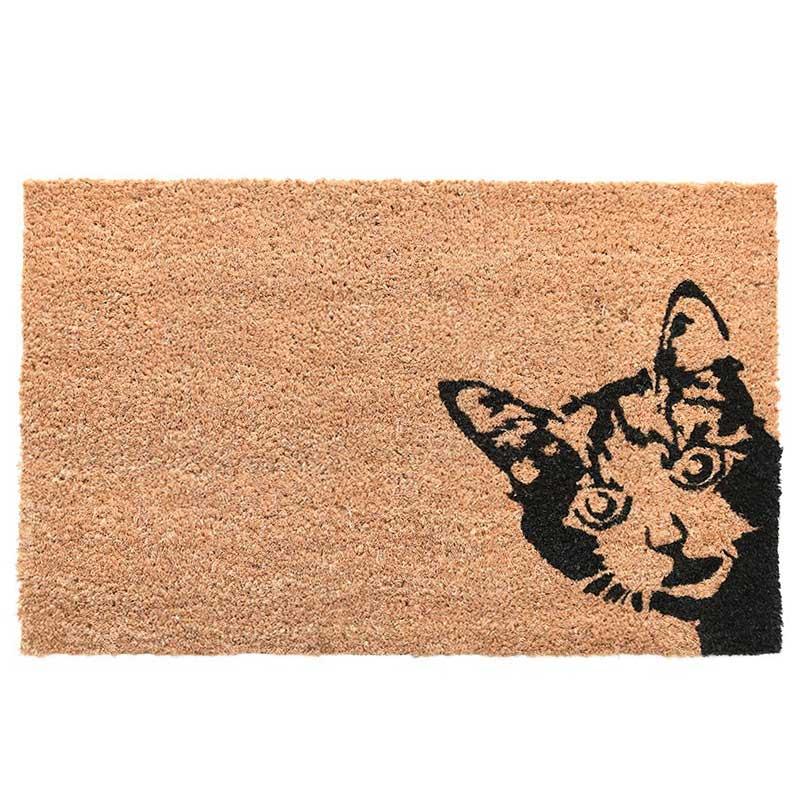 Dörrmatta katt tittut