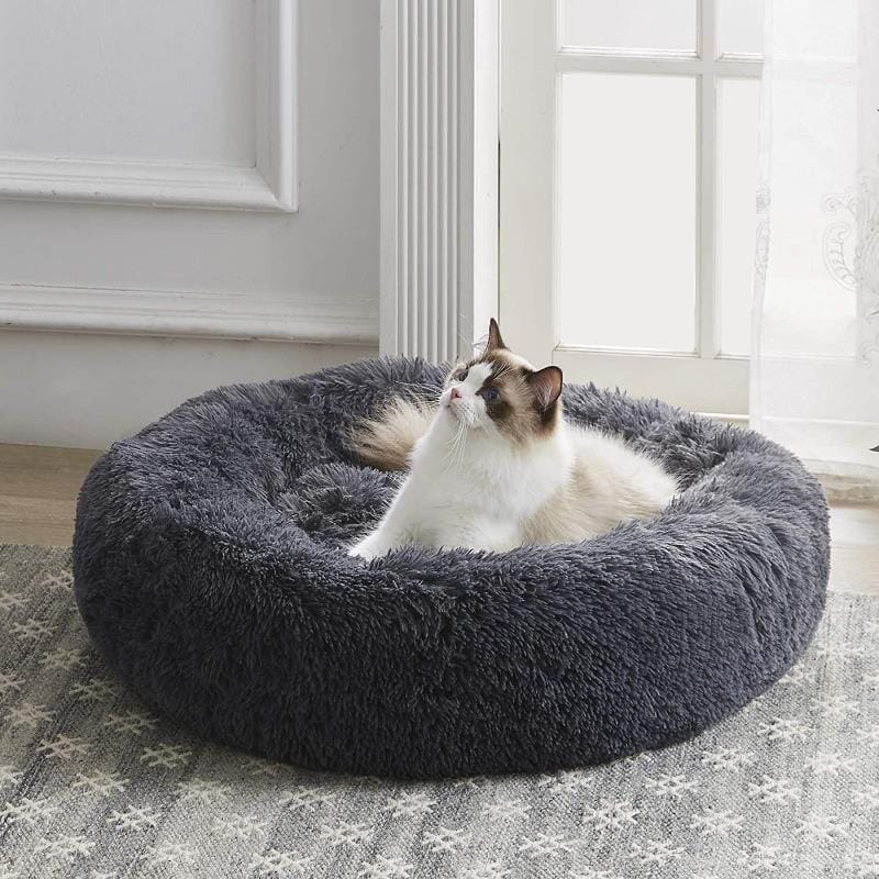 Lugnande kattsäng