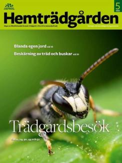 Prenumerera på Hemträdgården