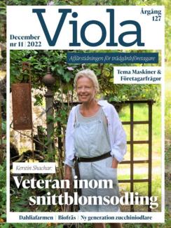 Viola, prenumeration