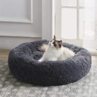 Lugnande kattsäng